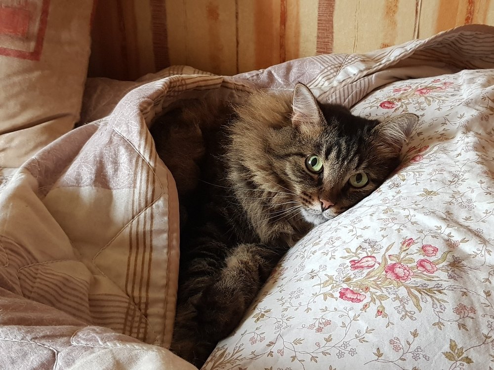 Главное - найти правильное место в жизни