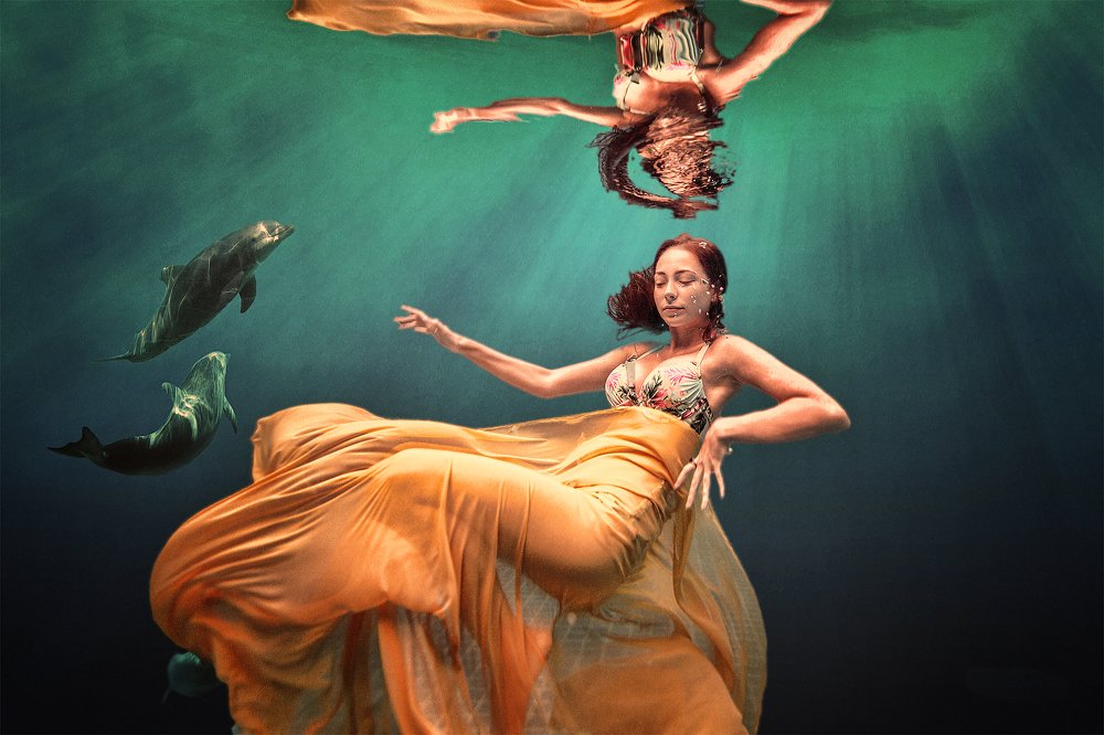 про дельфинов