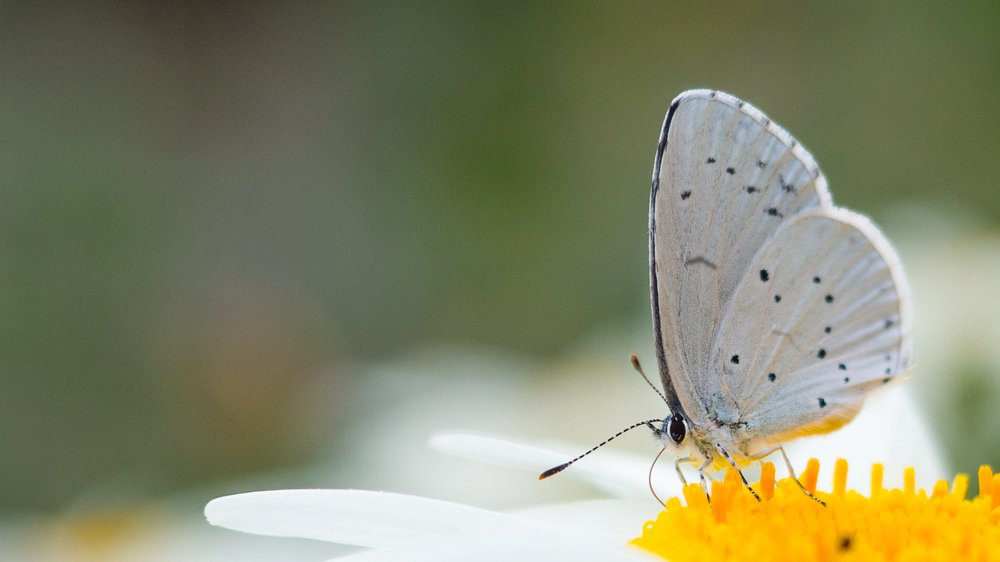 Photograph by Евгений Шмидт