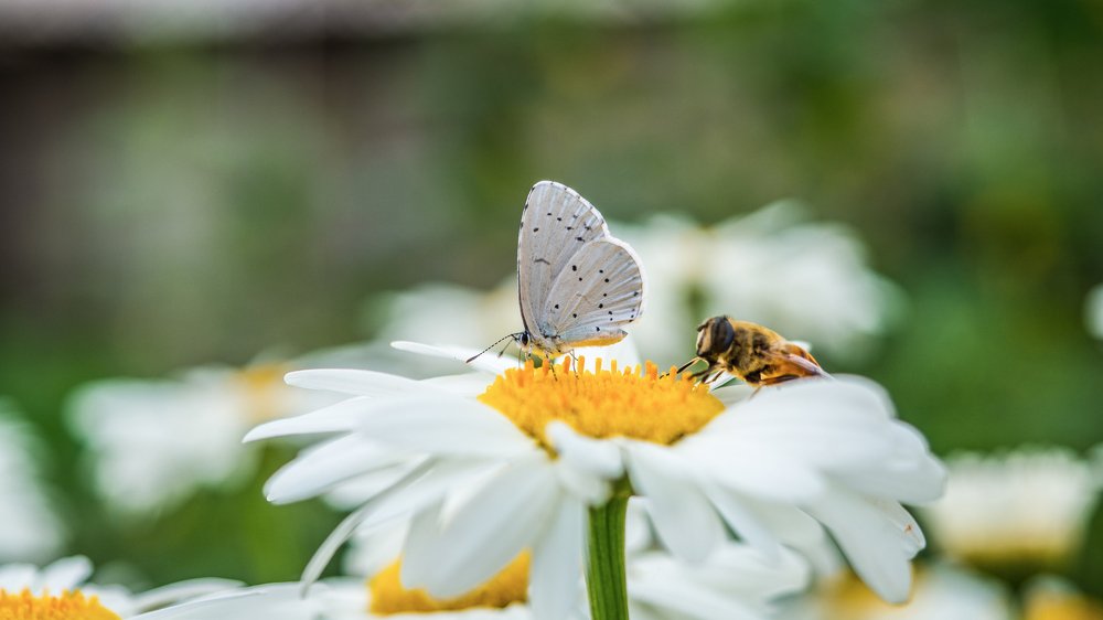 Photograph by Евгений Шмидт