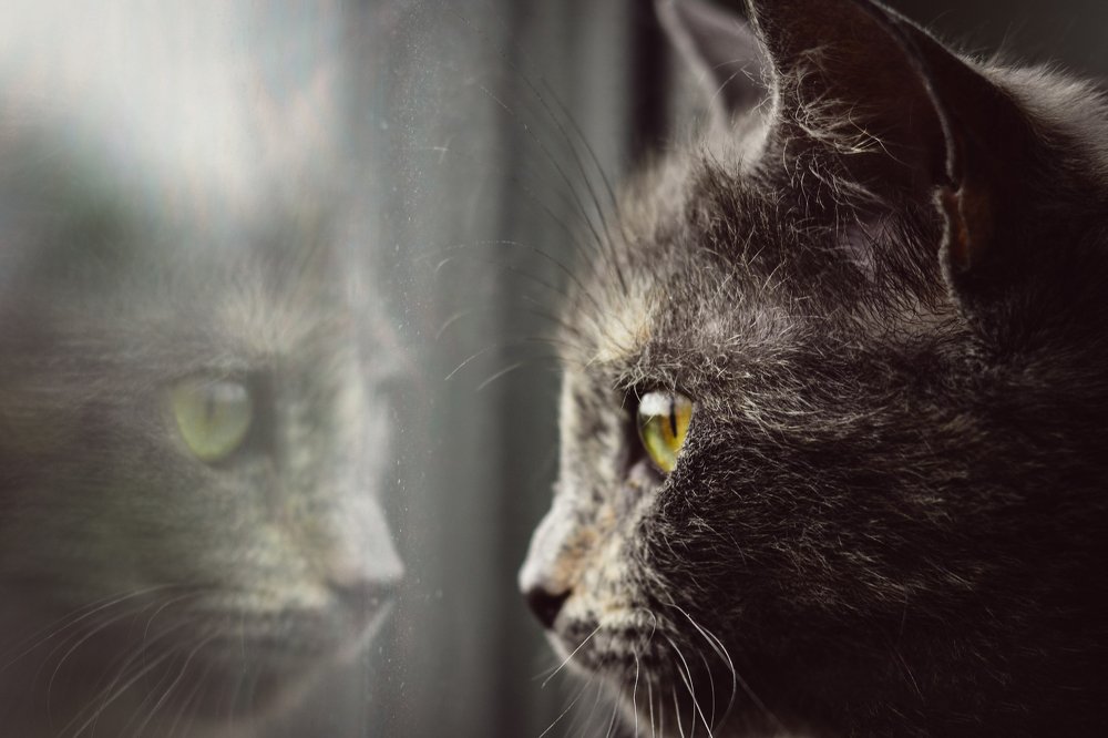 Photograph by Алёна Бушвехтерс