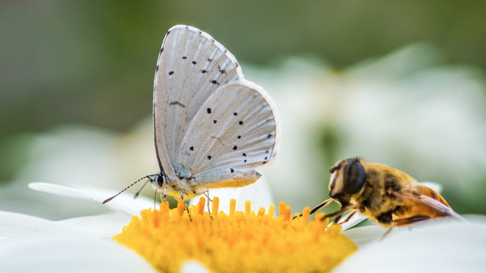 Photograph by Евгений Шмидт