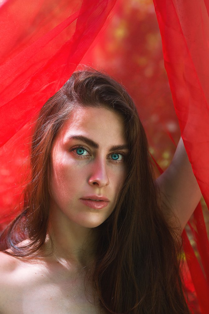 Photograph by Елизавета Чечевица