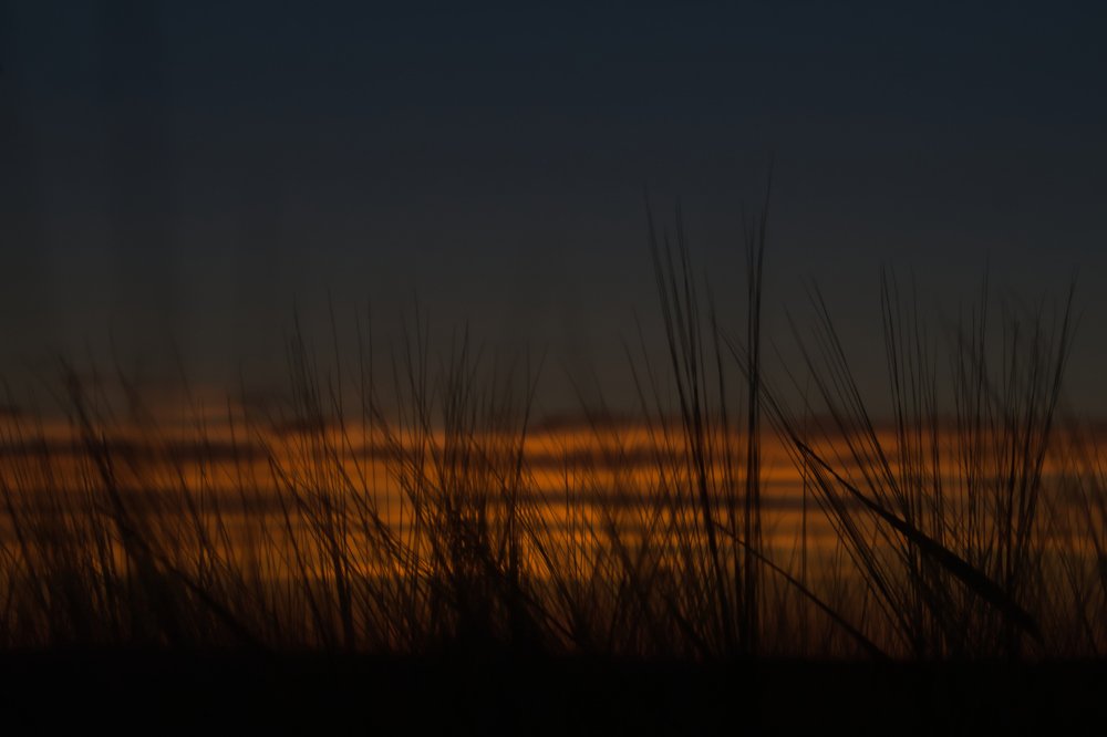 Краски вечера