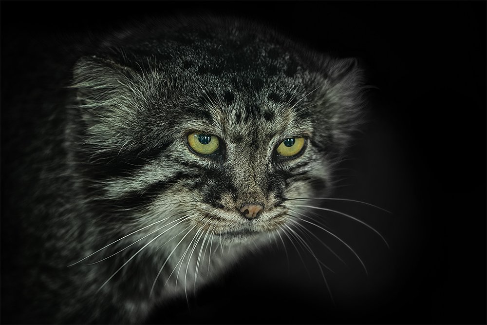 Ну что...,выйдем..., поговорим?