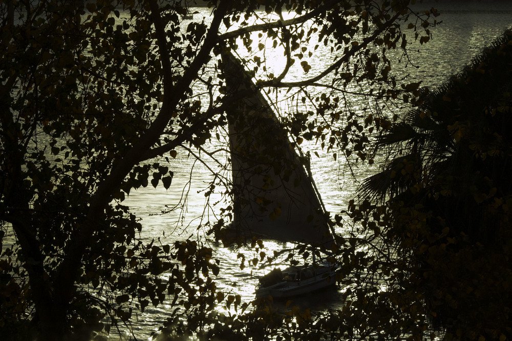 A floating vessel in the Nile River