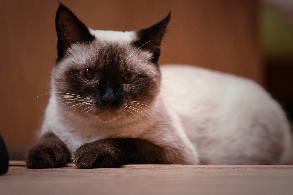 Photograph by Александр Рыбаков