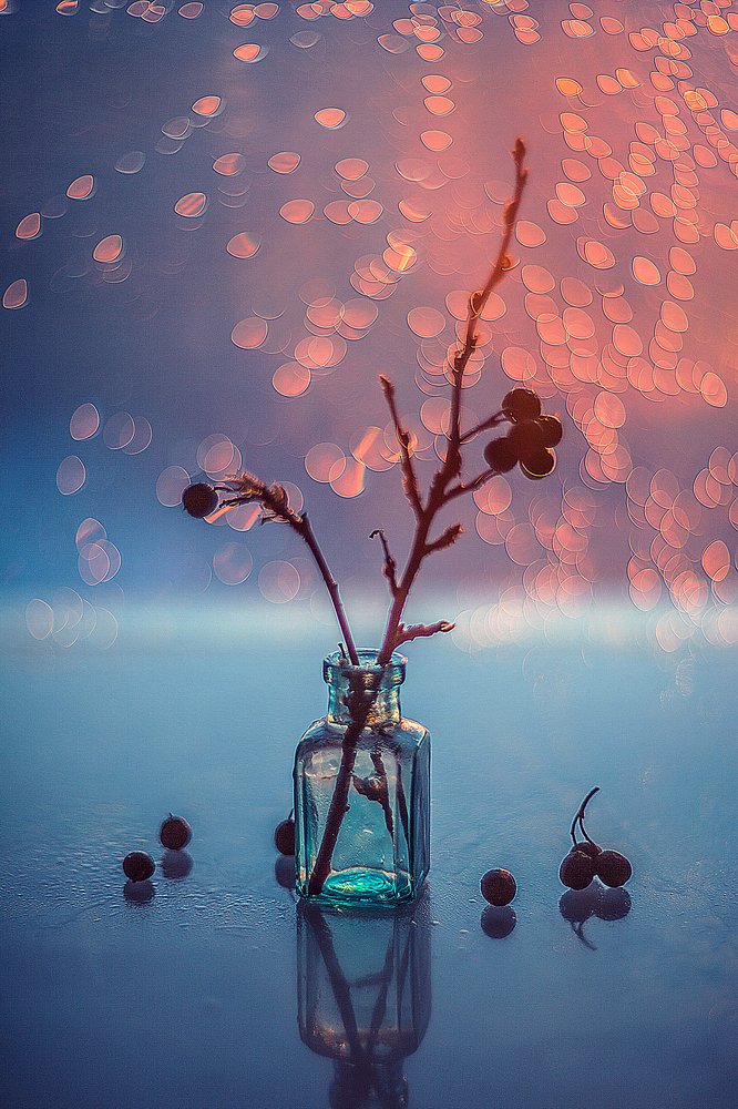 Вечерний натюрморт