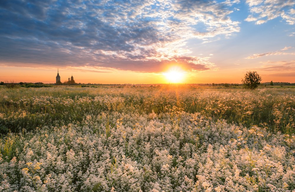 Закат над полем.