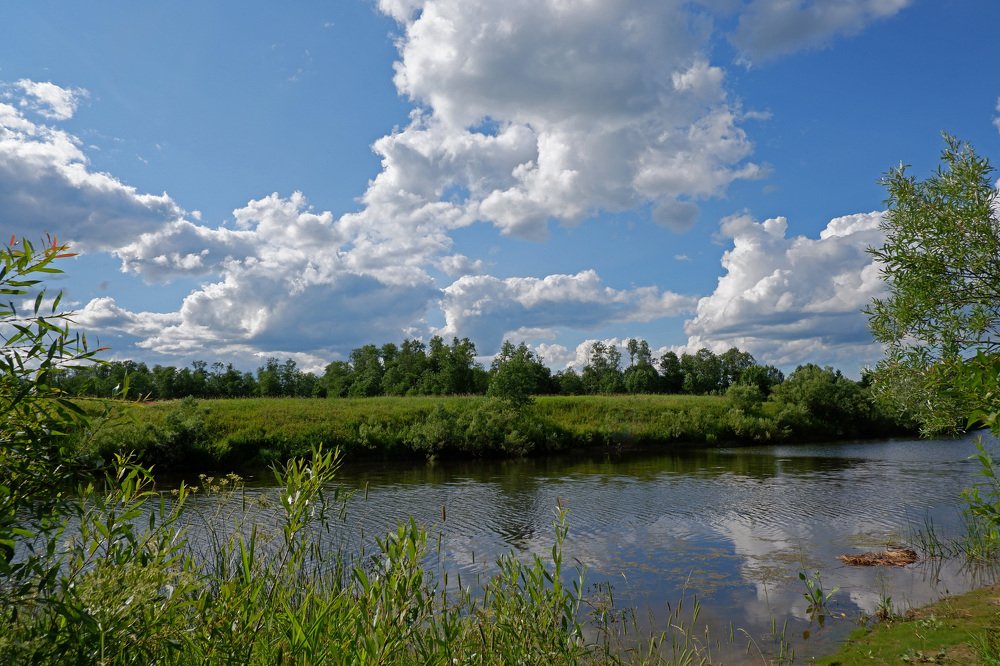 Тихая заводь