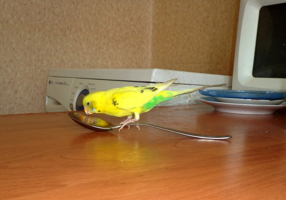 Лучше мыть надо...