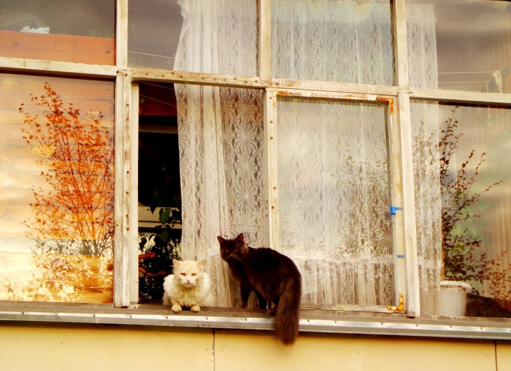 Скоро стемнеет...