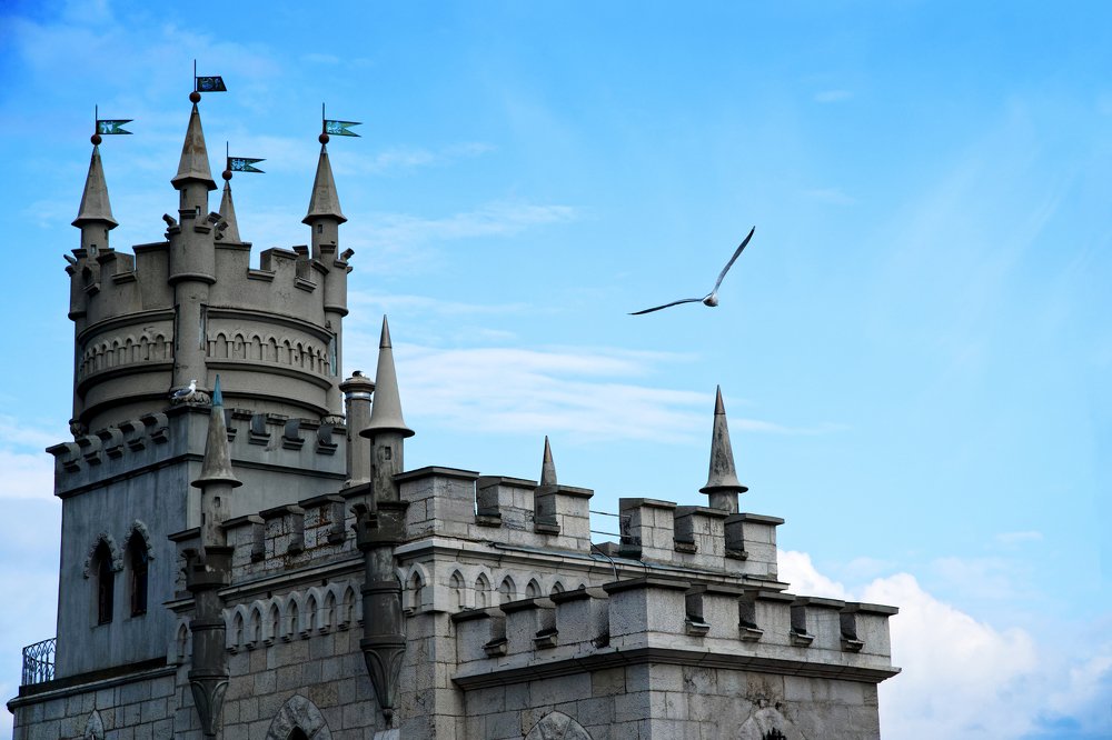 Чайка над замком