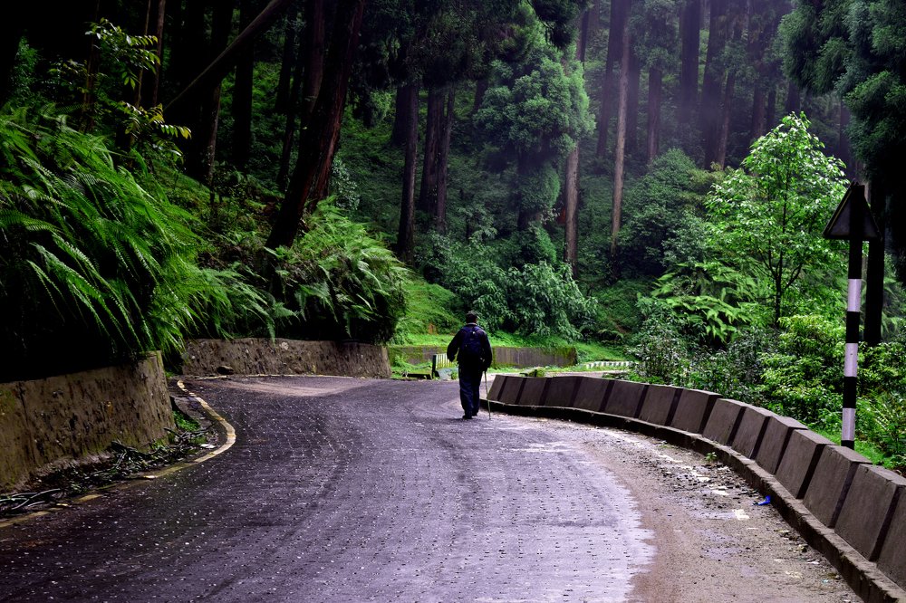 In the lap of himalaya