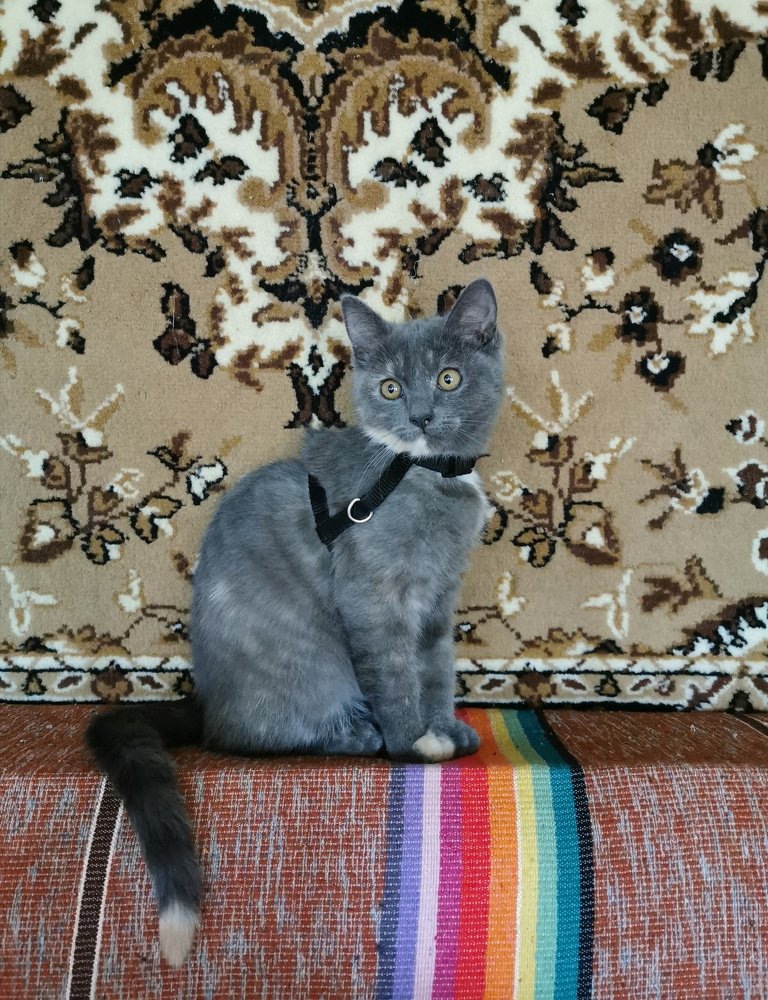 Photograph by Рутковская Жанна