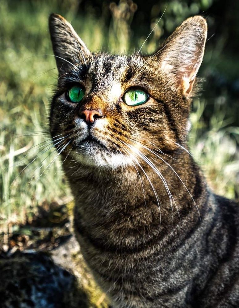 Photograph by Elena Gebert