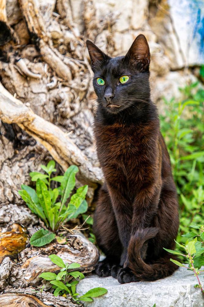 Photograph by Elena Gebert