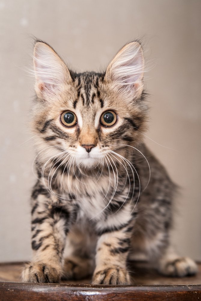 Photograph by Людмила Кузьменко