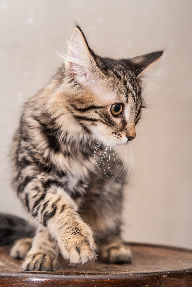 Photograph by Людмила Кузьменко