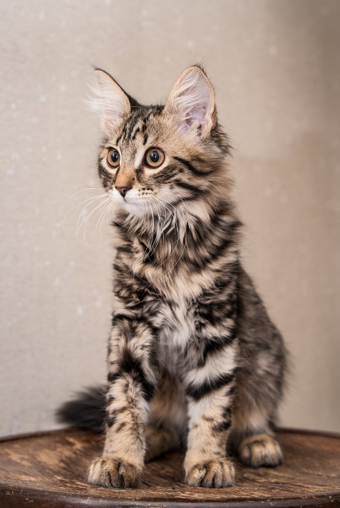 Photograph by Людмила Кузьменко