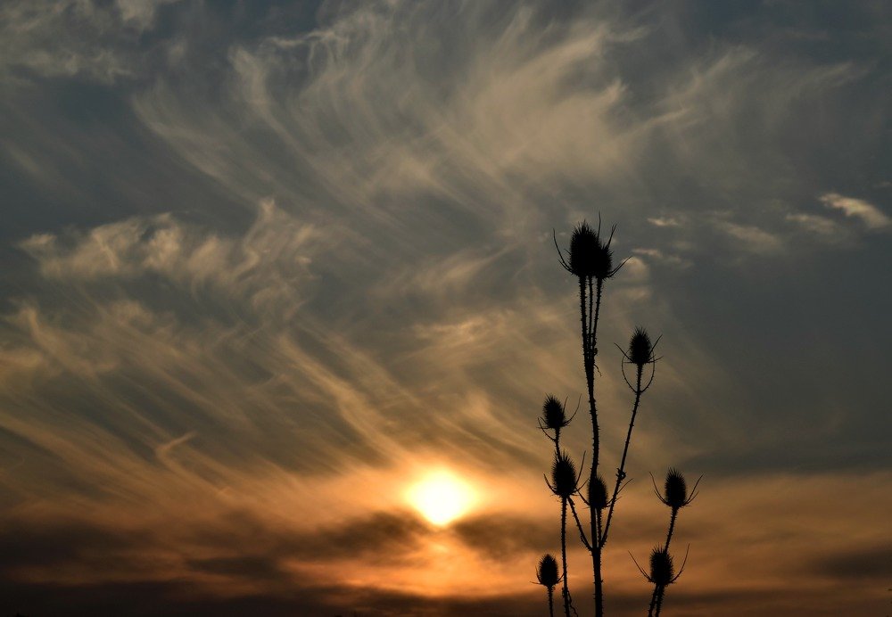 Siluetas al atardecer