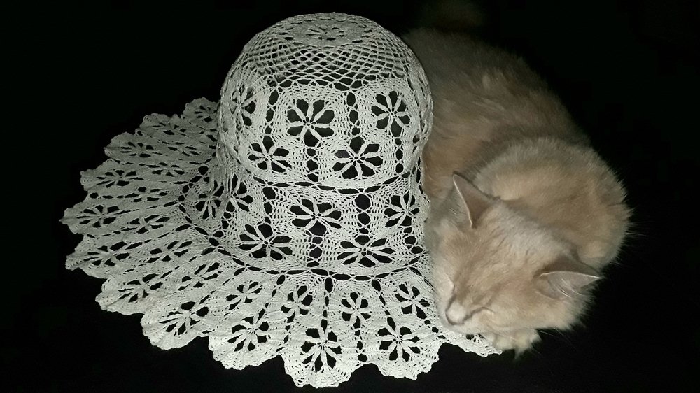 Бусинка отдыхает, очарованная новой белой шляпкой