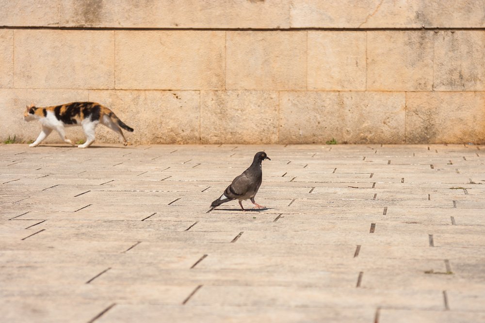 Photograph by Иван Квятковский