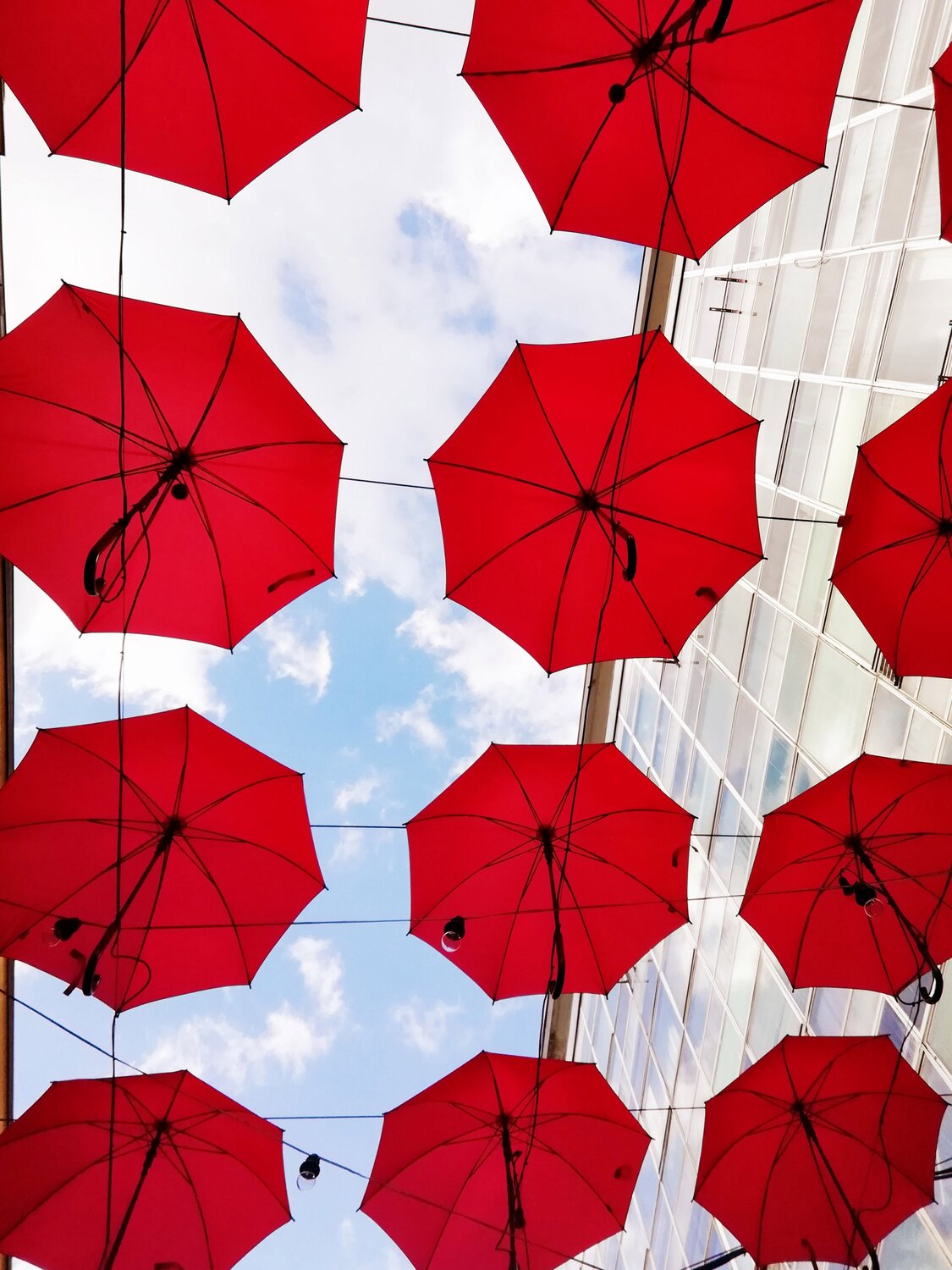 Umbrellas Belgrade