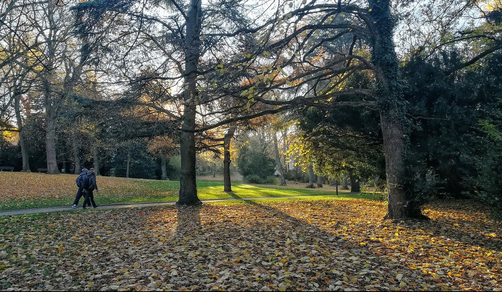 В осеннем парке