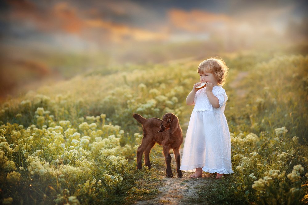 Photograph by Татьяна Бобрикова