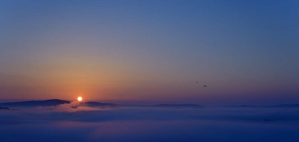 Photograph by Laszló Koroknai