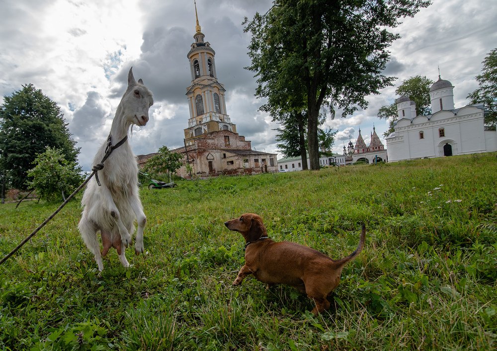 перед битвой