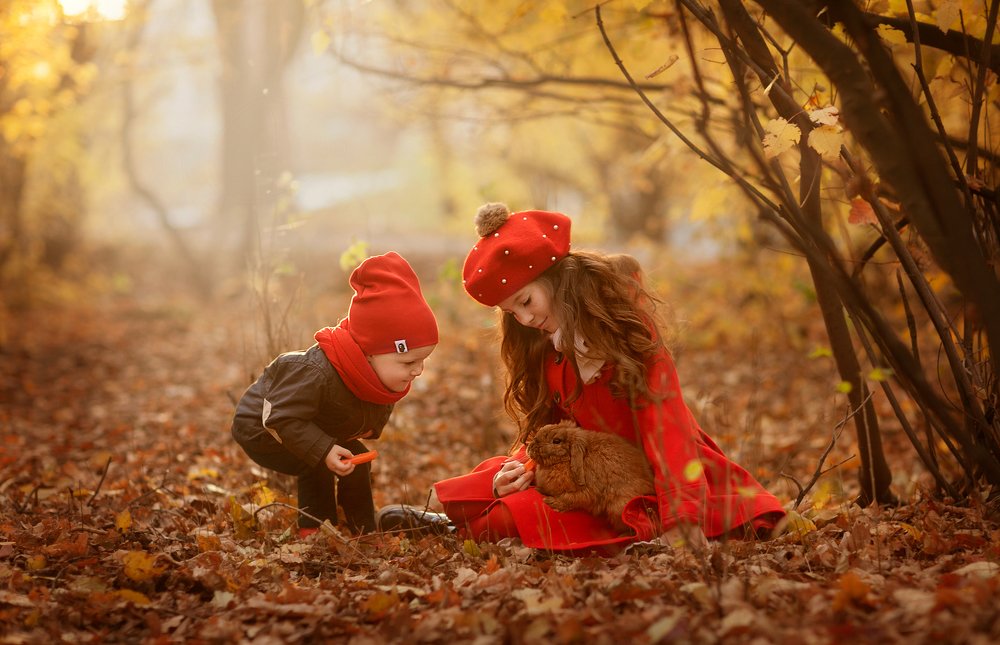 Осенние зарисовки