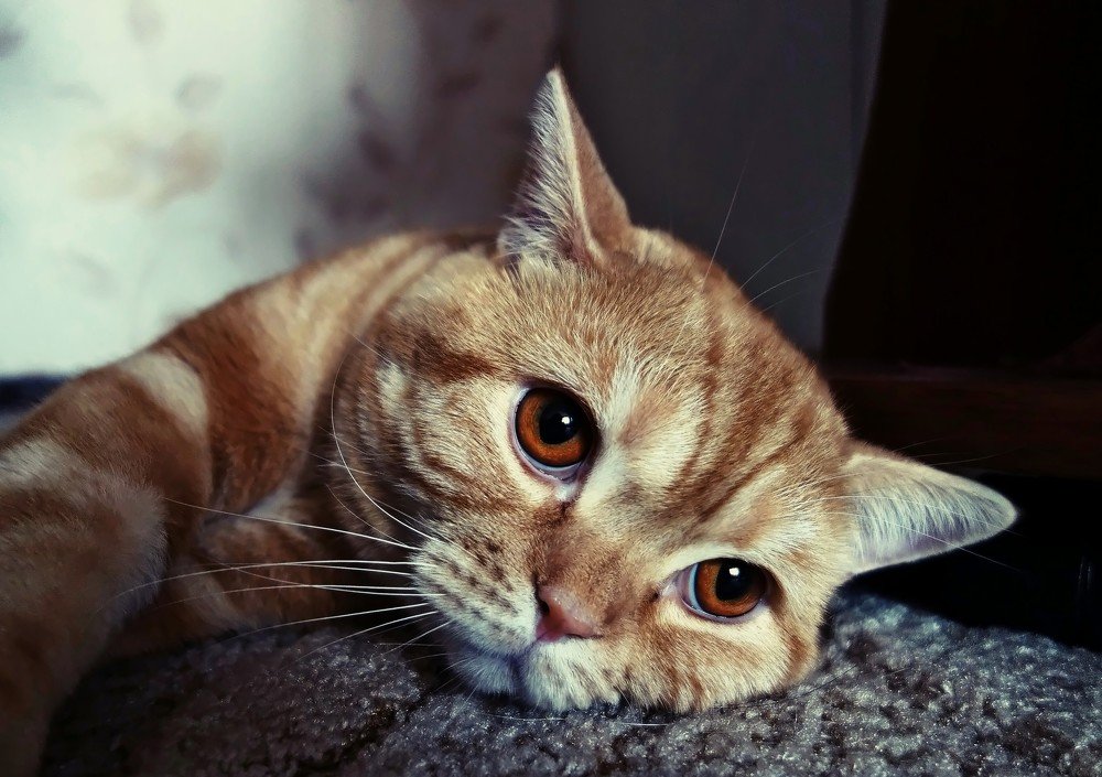 Вот так иногда немного взгрустнется...