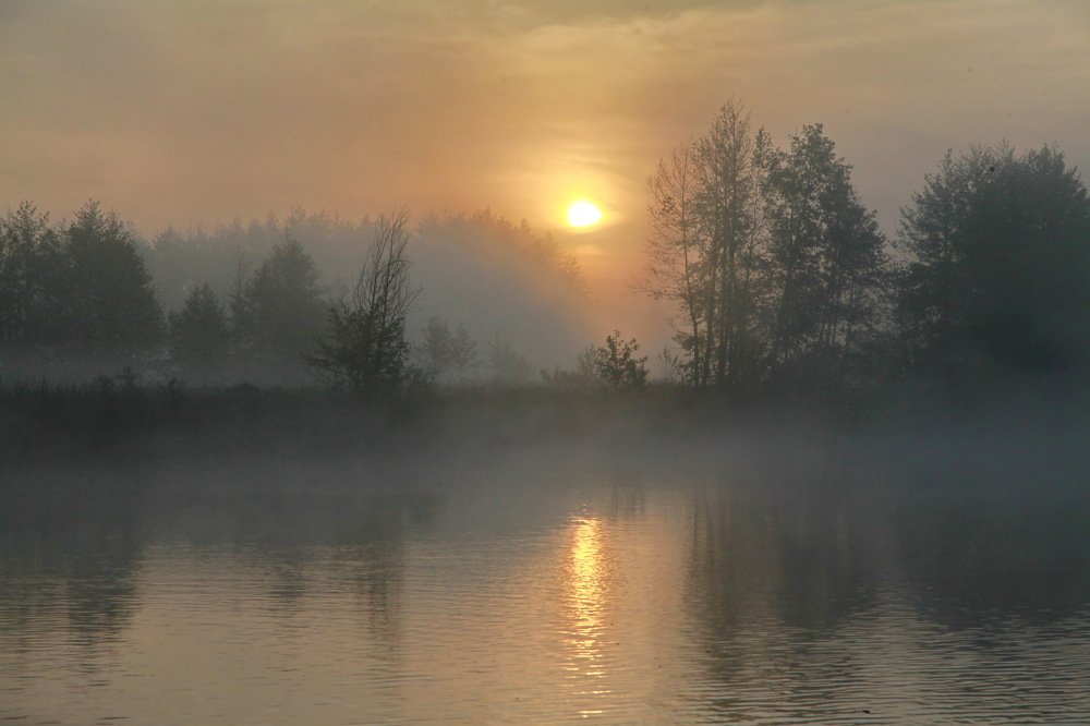 Утро в Седневе