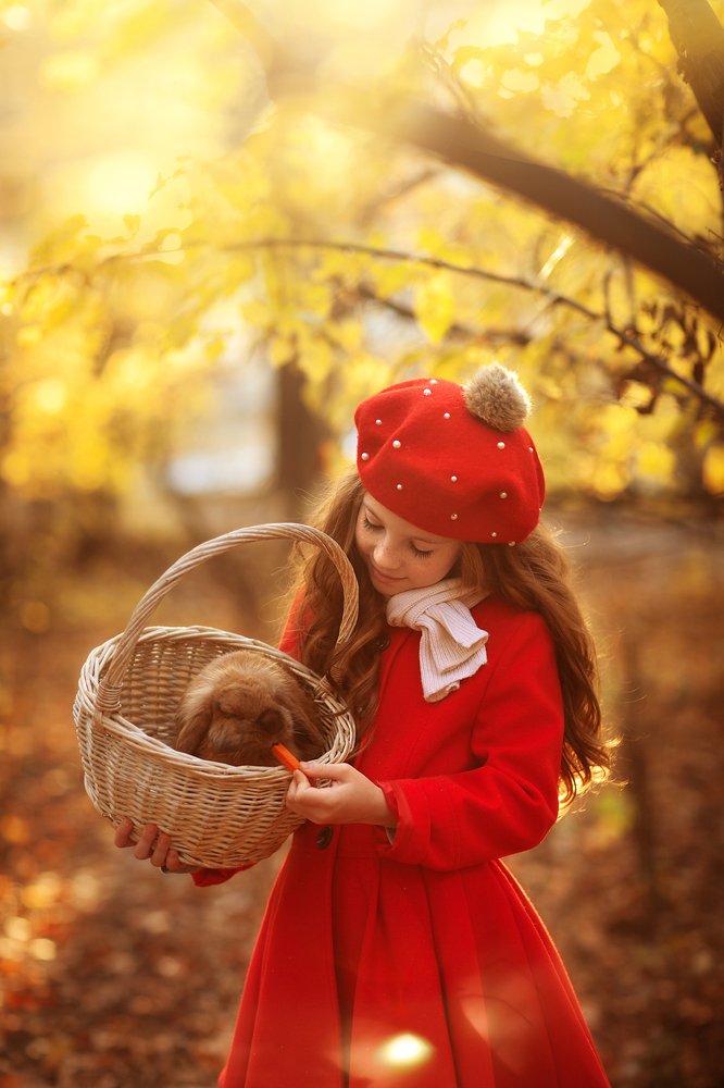 Девочка и кролик