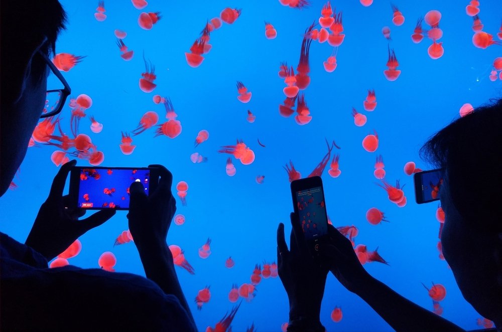 Через экран