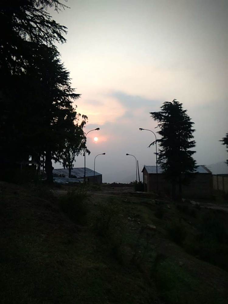 Sunset behind the trees