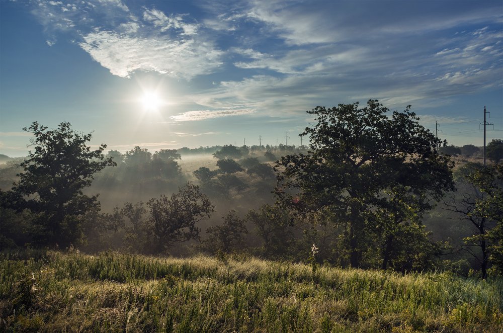 Утро после ночного дождя