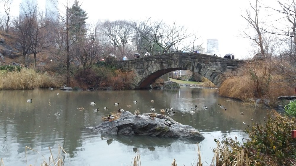 Gapstow bridge