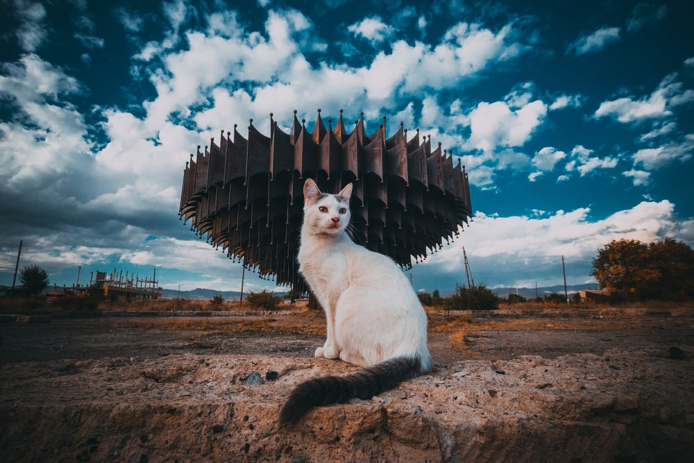 Photograph by Vazgen Asatryan