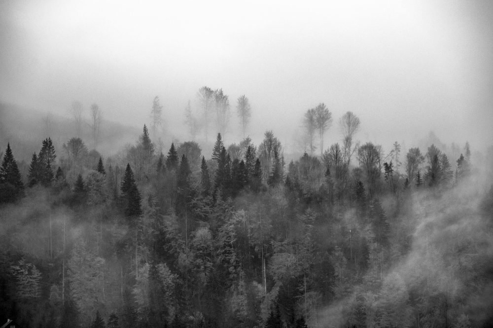 Photograph by Елена Боржковская