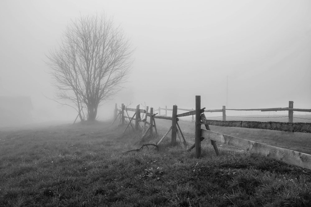 Photograph by Елена Боржковская