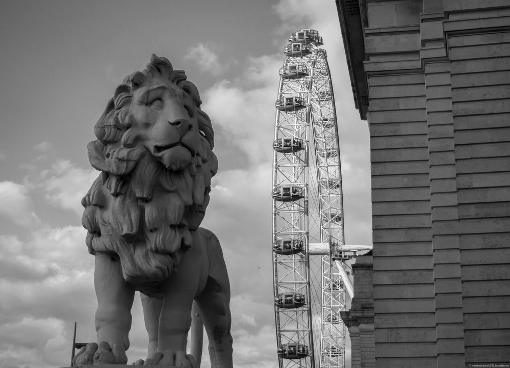 Я тоже хочу покататься....