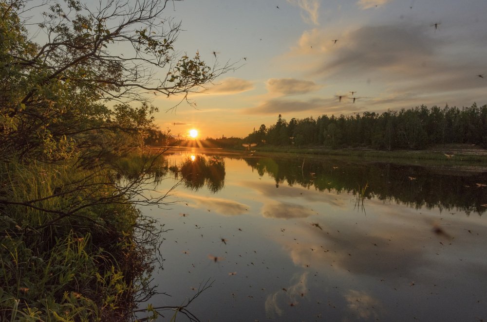 Photograph by Рузаев Дмитрий