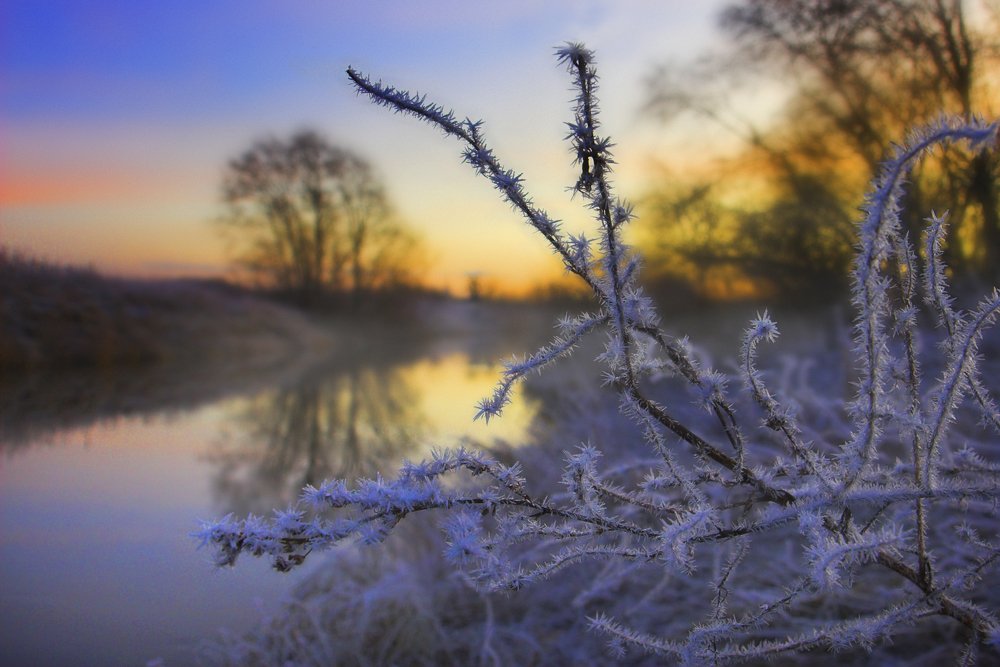 Photograph by Геннадий