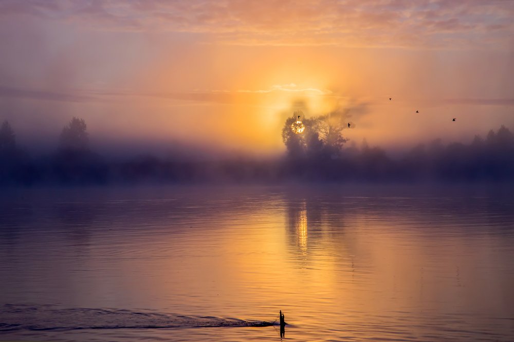 Летняя заря