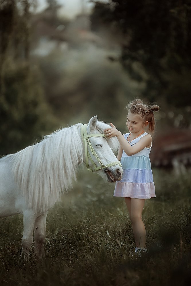 Я люблю свою лошадку