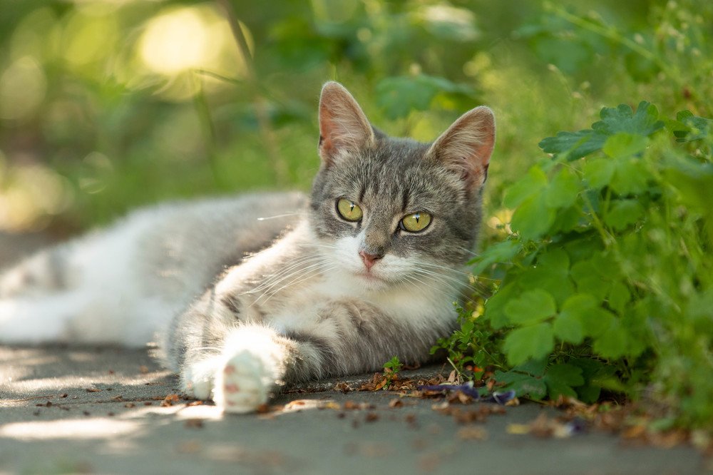 В жаркий полдень