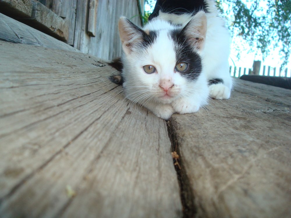 Photograph by Виталий